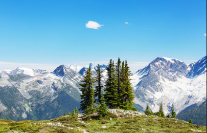 加拿大留學需要什么條件？