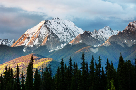 加拿大留學每個省都有哪些名校可以申請？