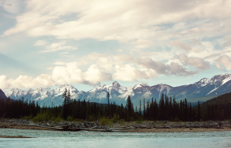 快來收藏！新西蘭留學「數據科學專業」院校推薦！