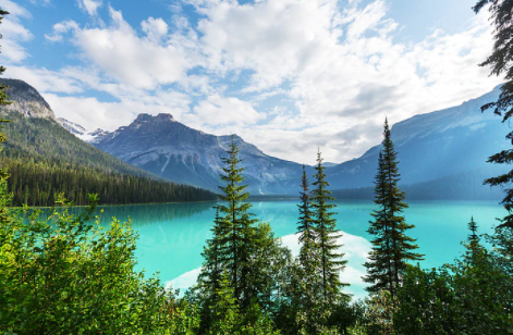 考研后留學加拿大方案速覽！附加拿大10大熱門院校