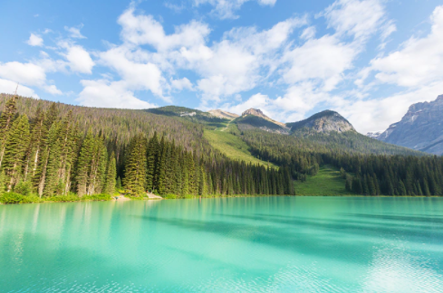 加拿大留學 | 加拿大低齡留學值得去嗎？