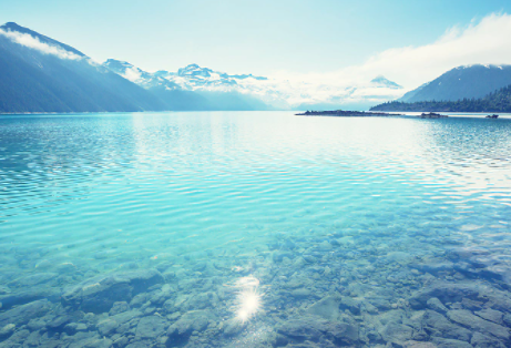 超全加拿大留學申請攻略，從小學到大學！