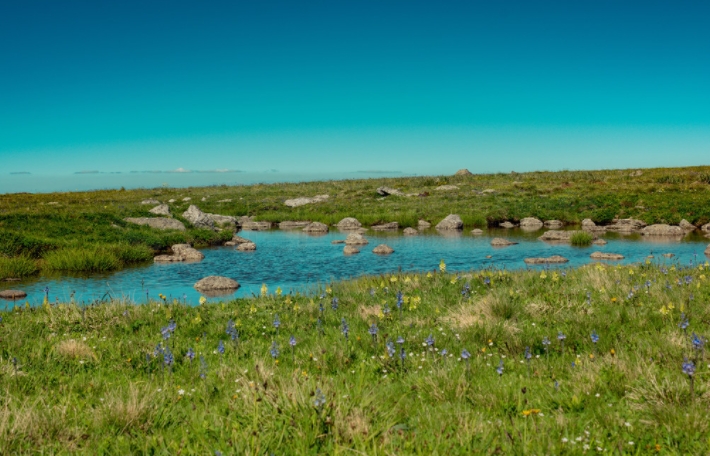 直通英美的大國護(hù)照，中產(chǎn)適合人手一本