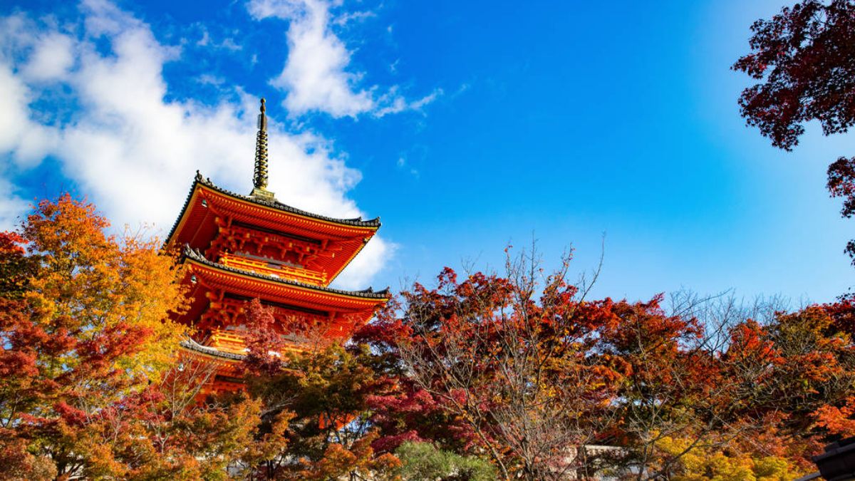 日本經(jīng)營管理簽證辦理必讀