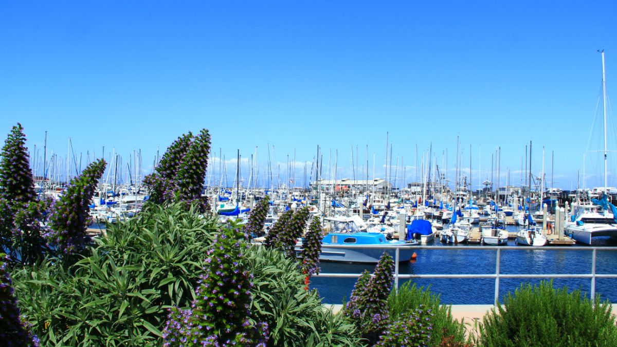 辦理EB-5為什么要解釋資金來源？如何解釋