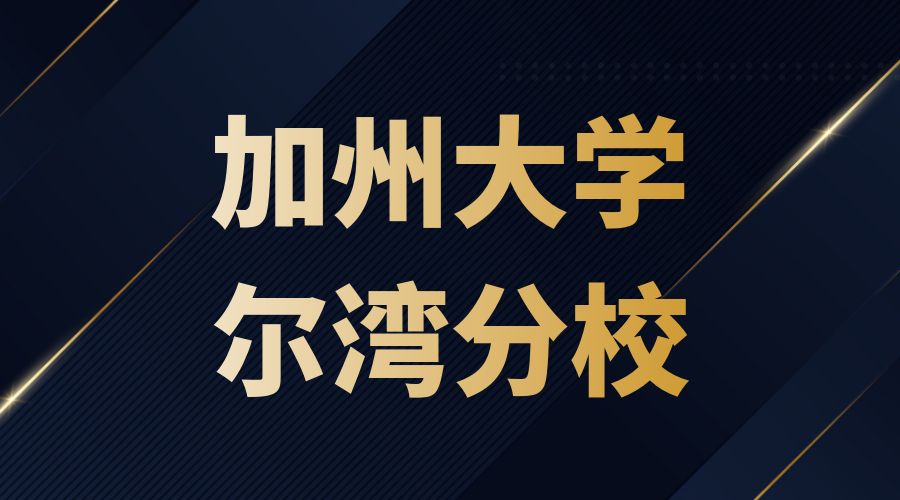 加州大學爾灣分校offer