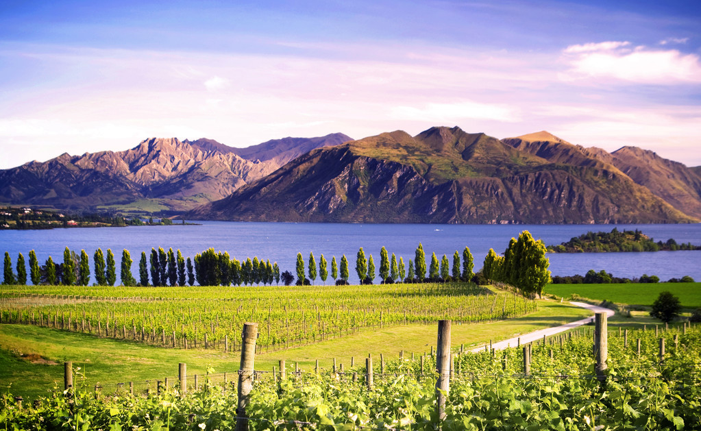 新西蘭移民為什么這么香？