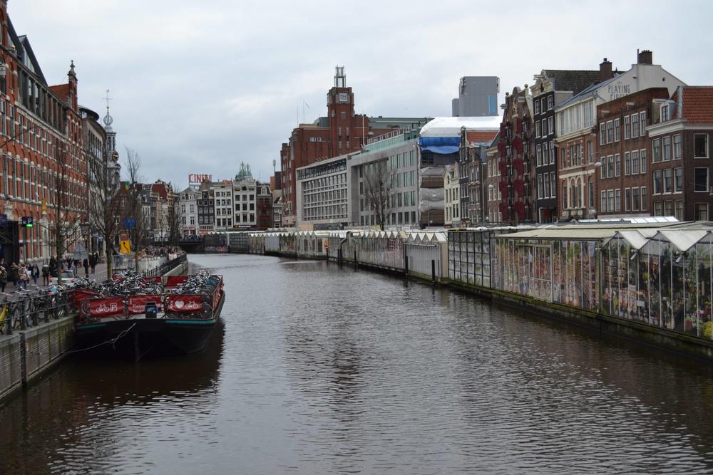 全方位了解荷蘭留學