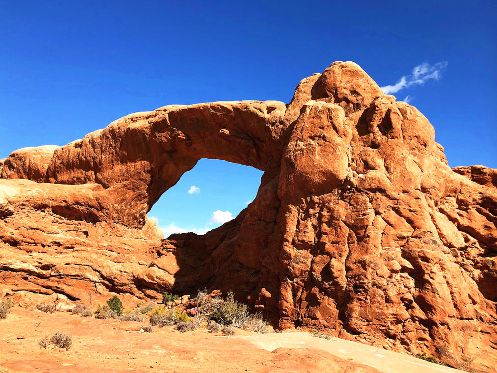 考研失利怎么辦？留學來兜底？