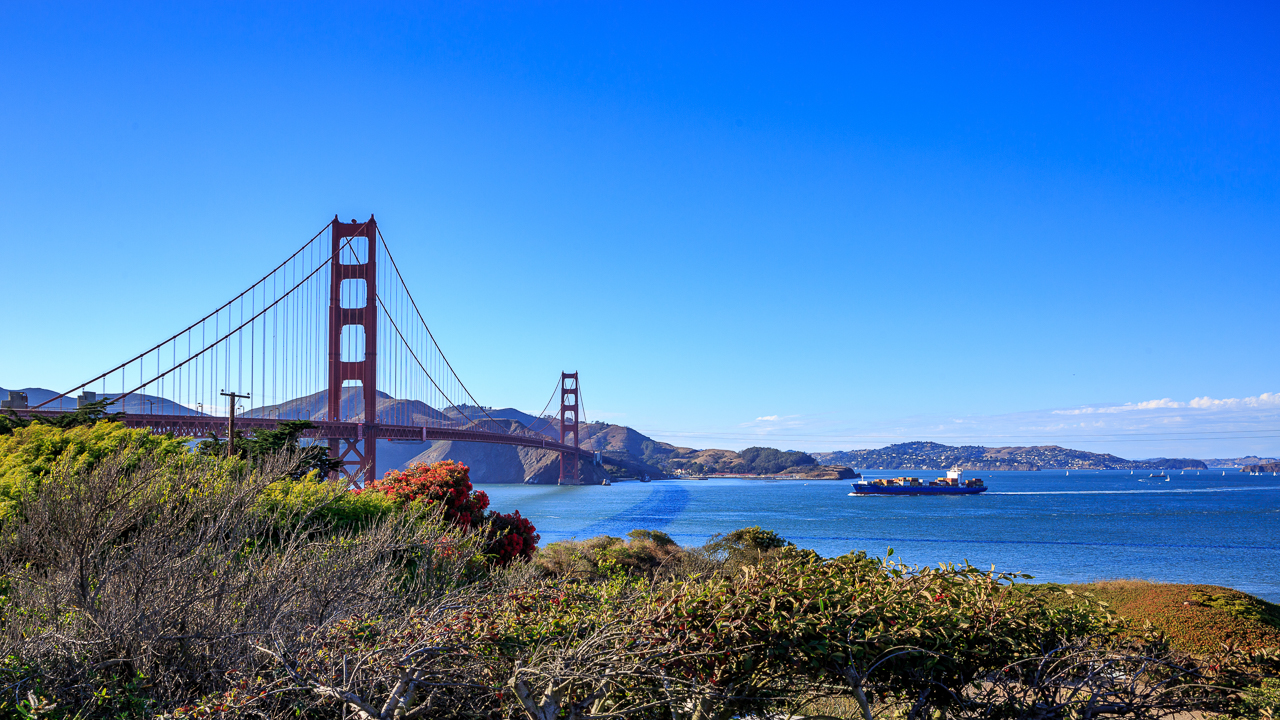 2026留學(xué)新趨勢：留學(xué)生如何把握新機(jī)遇？